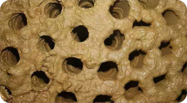 1746940001294207.png 微信图片_20250509164226(1)(1).png